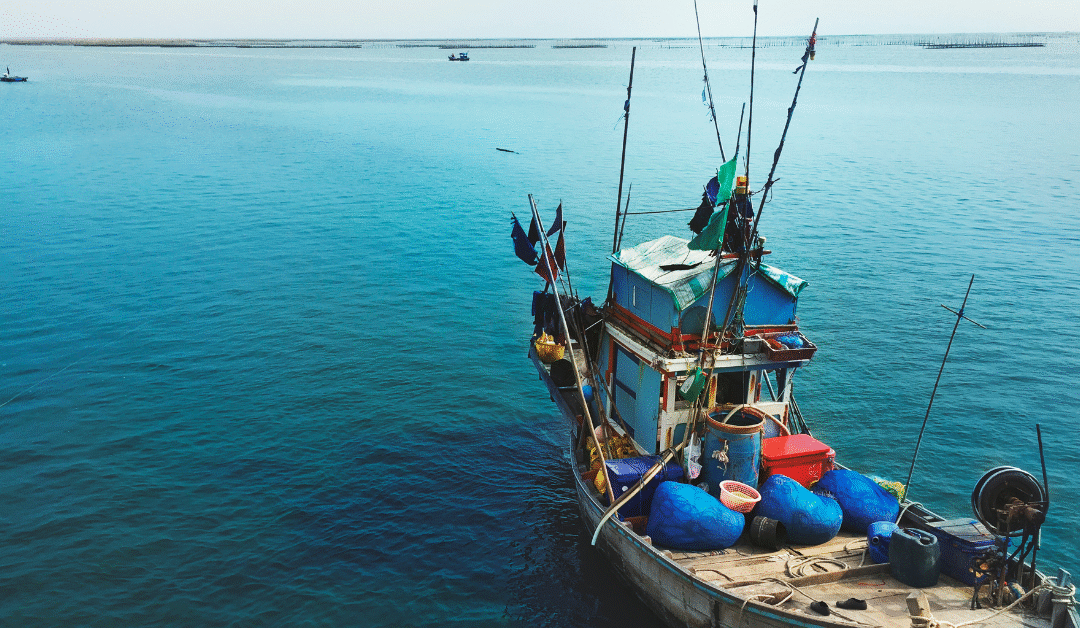 Mais de 100 pescadores participaram em torneio de pesca embarcada em Álvaro