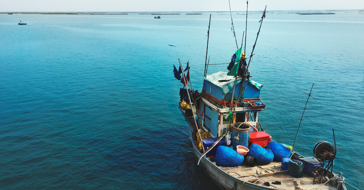 Mais de 100 pescadores participaram em torneio de pesca embarcada em Álvaro