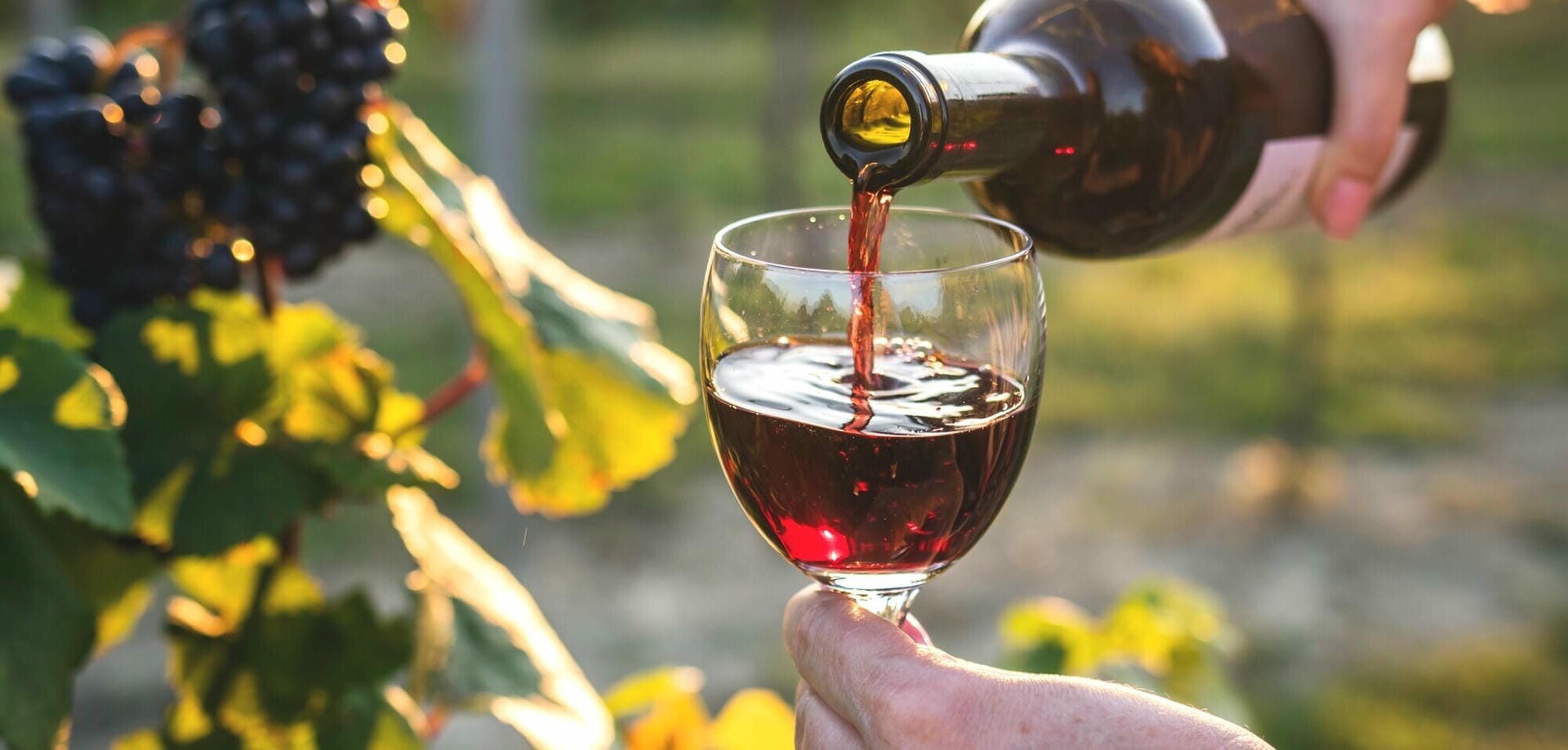 Arruda dos Vinhos celebra tradição e cultura na 28.ª Festa da Vinha e do Vinho