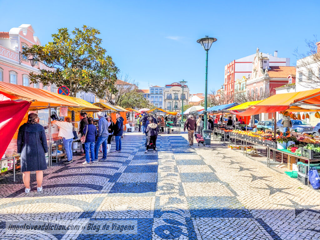 Caldas da Rainha distinguida pela adaptação às alterações climáticas