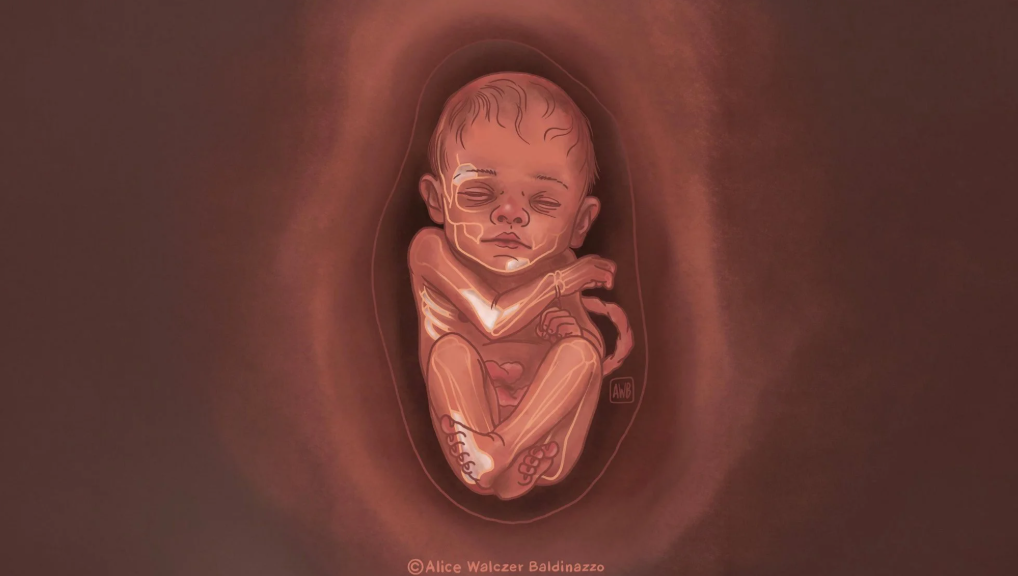 Estudo com participação da UAlg esclarece declínio dos Neandertais