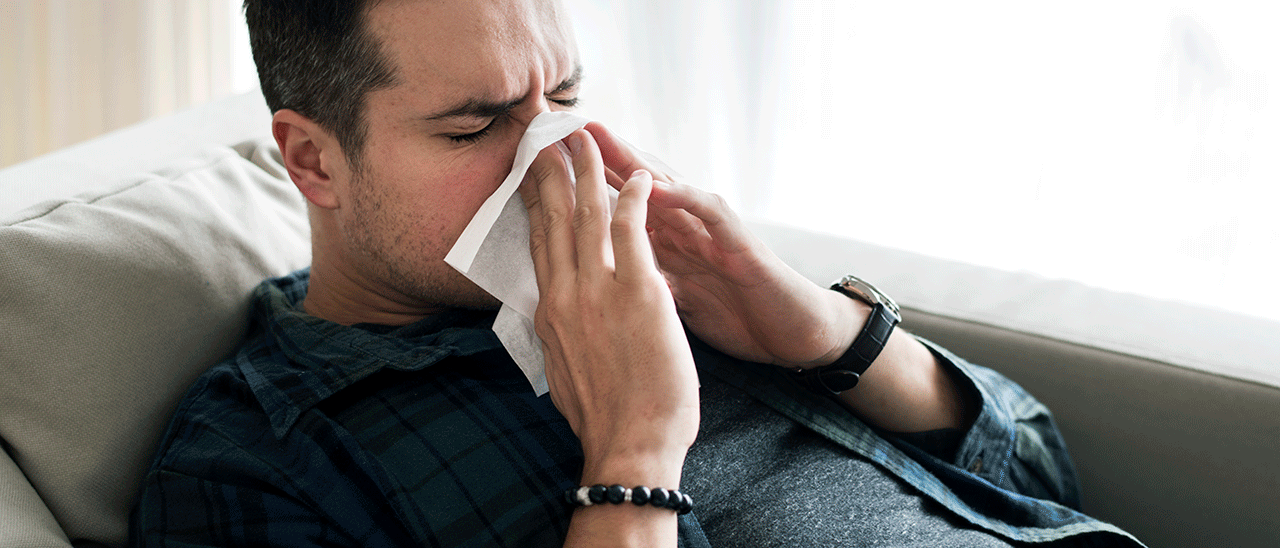Tem alergias? Níveis de pólen vão estar elevados em Lisboa, Alentejo e Algarve nos próximos dias