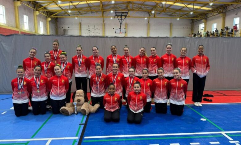 Ginastas do Barreiro brilham em competição e preparam Campeonato Distrital