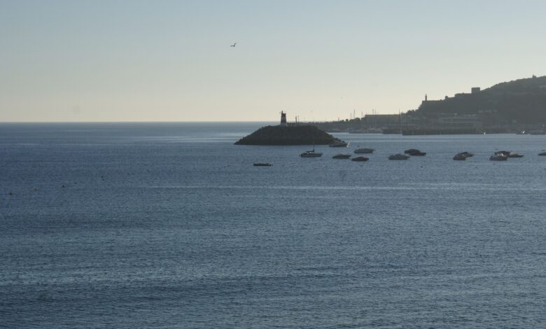 Sesimbra prepara requalificação do porto com conclusão prevista para 2027