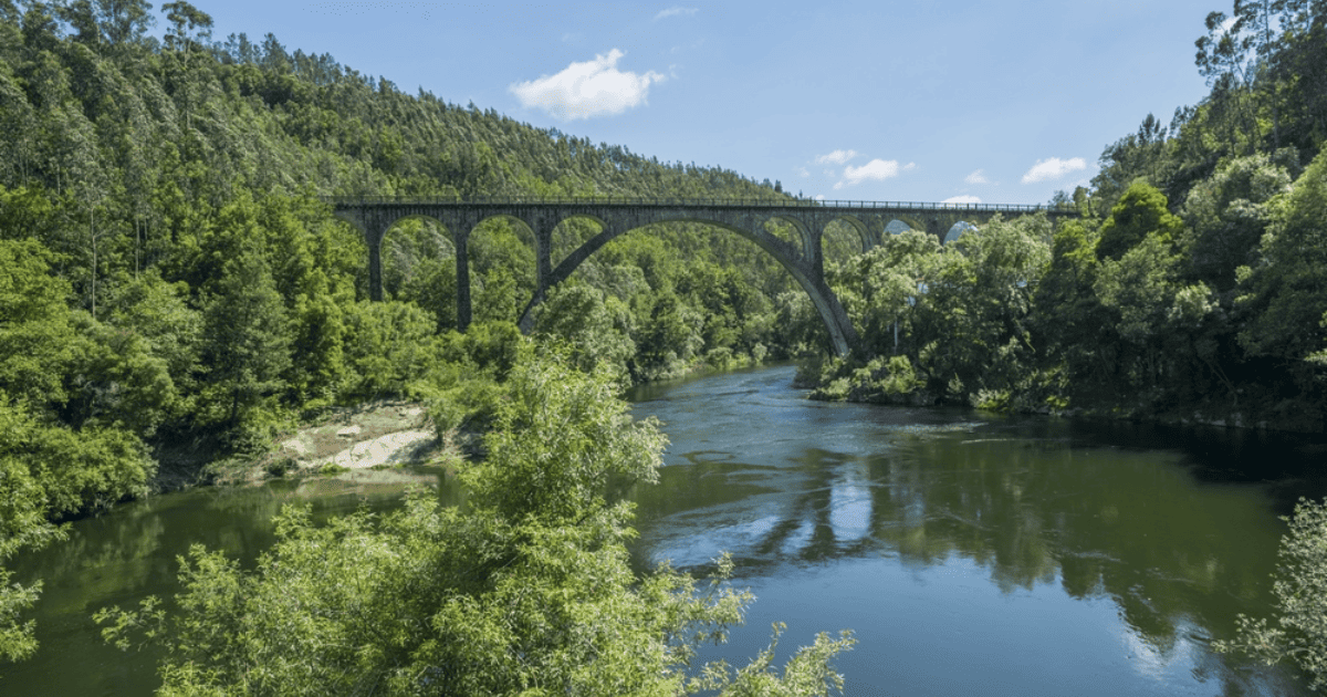 Sever do Vouga, o lugar mais verde e escondido de Portugal