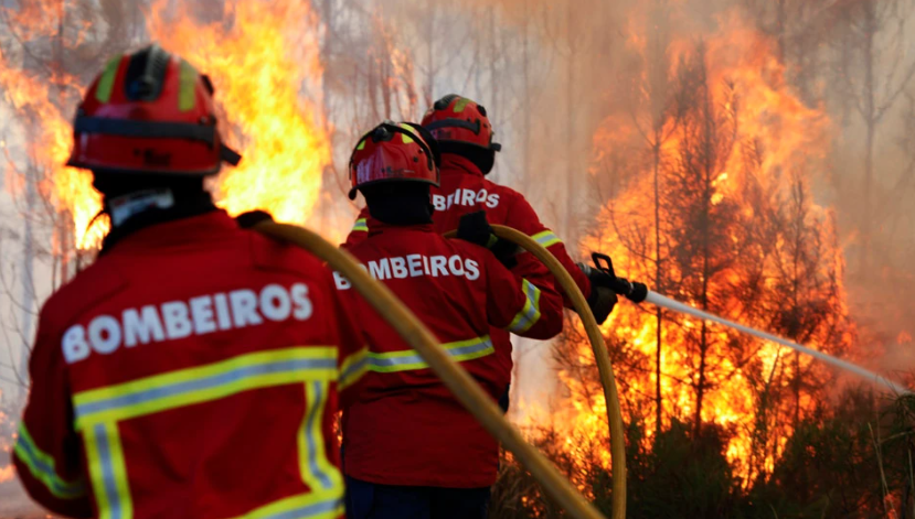 Quatro concelhos do Algarve em perigo muito elevado de incêndio