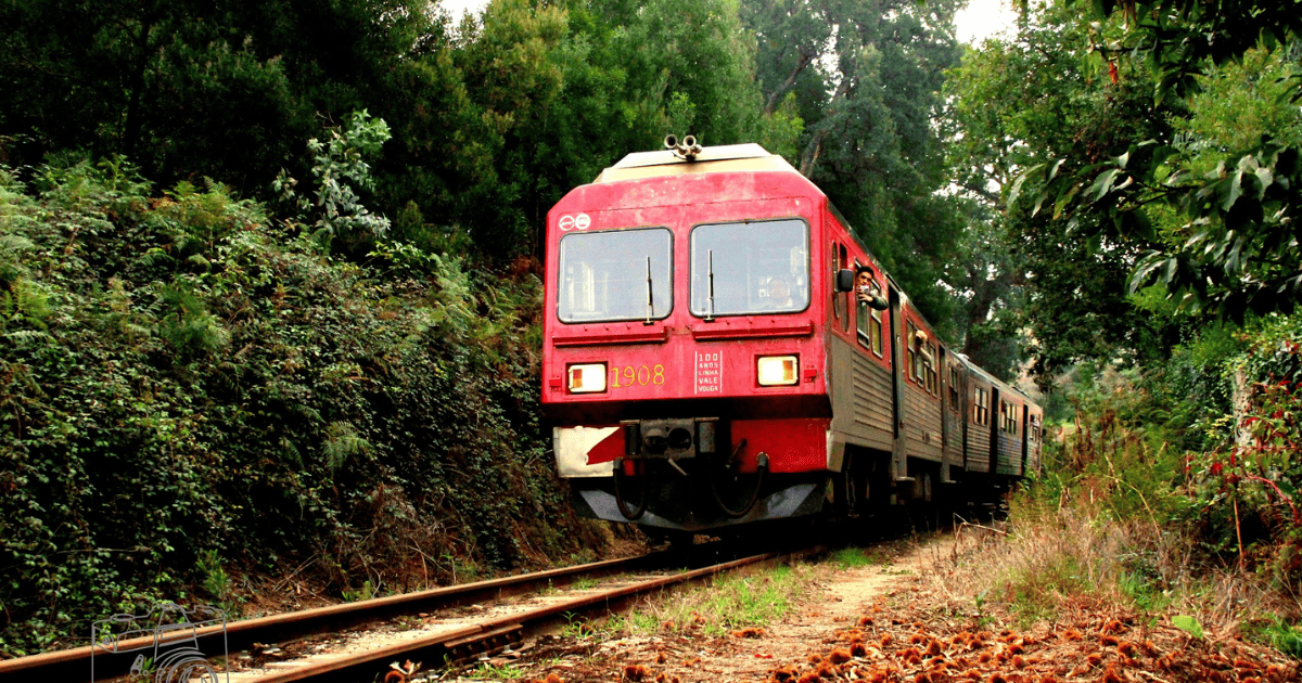 Movimento Cívico do Vouga quer comboios de volta entre Sernada e Oliveira de Azeméis