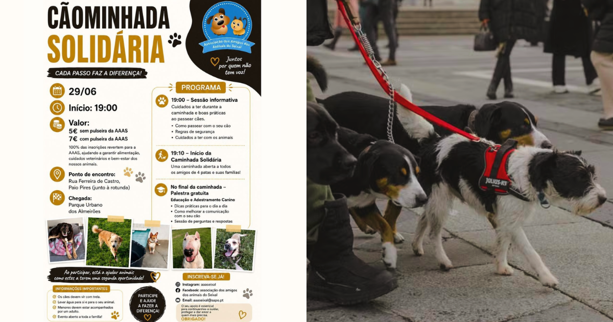 Cãominhada Solidária da AAAS convida comunidade a apoiar os animais