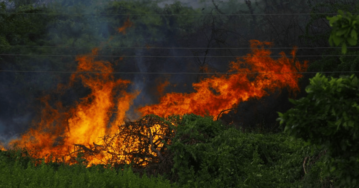 Câmara de Penamacor apoia aquisição de equipamentos para combate a incêndios florestais