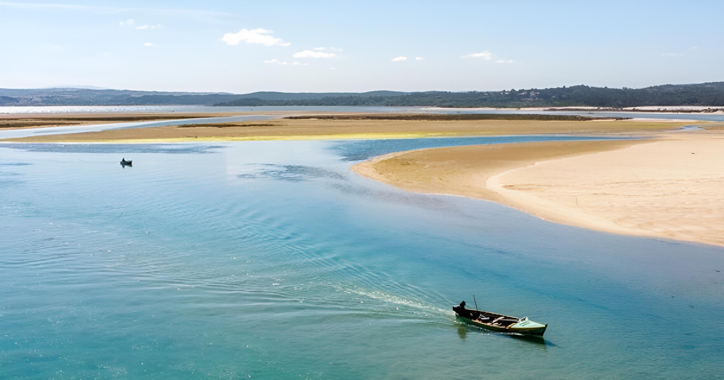 Contaminação por E.coli leva à proibição da apanha de bivalves na Lagoa de Óbidos