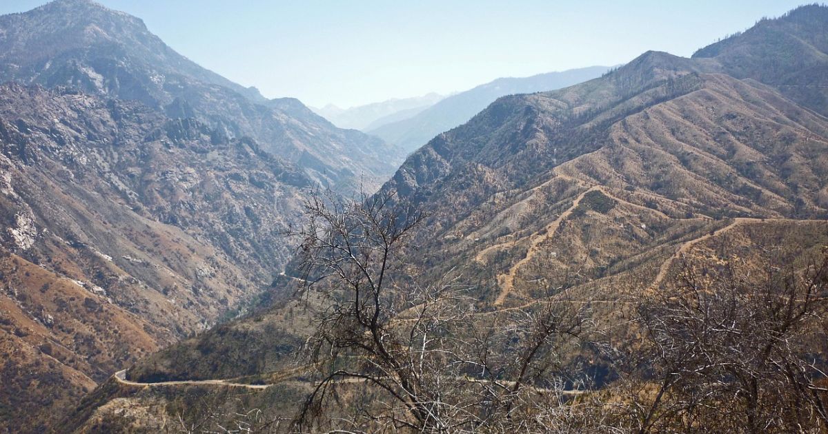 Médio Tejo entra no verão com risco acrescido de incêndio devido à tempestade Kristin