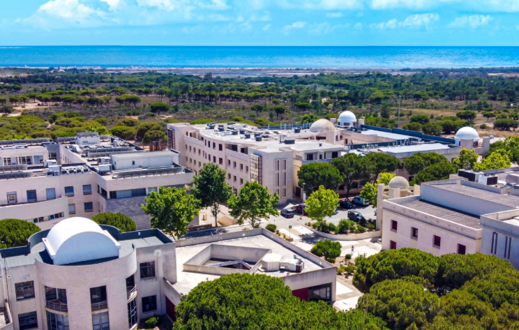 UAlg entre as três universidades portuguesas mais sustentáveis