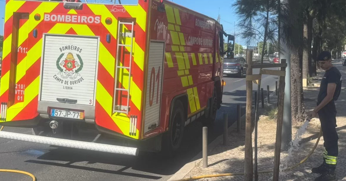 Lisboa reforça manutenção da arborização com apoio dos bombeiros voluntários