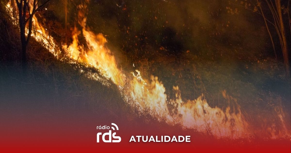 Mais de 800 operacionais combatem dois incêndios em Proença-a-Nova