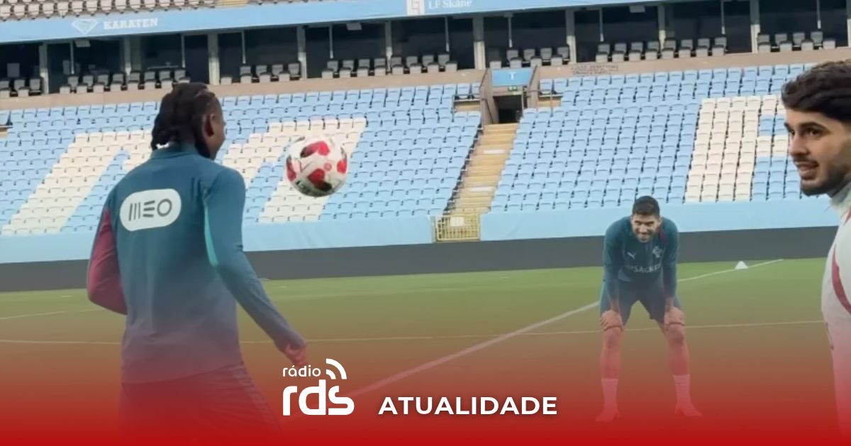 Jogadores da seleção portuguesa em treino no relvado do Eleda Stadium, em Malmo, antes do jogo com a Dinamarca