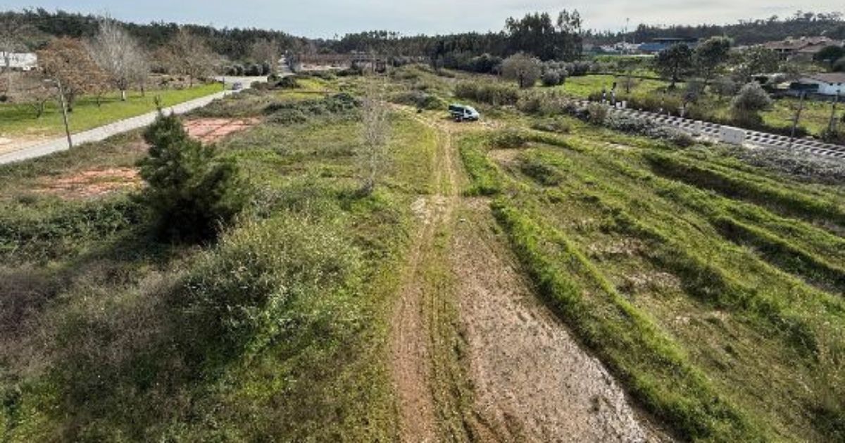 Coimbra, Mealhada e Cantanhede unidas para criar Grande Área de Acolhimento