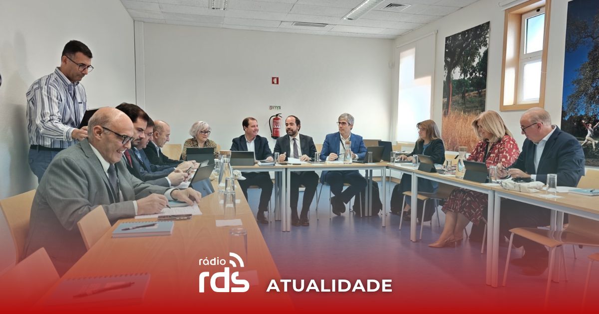 Megaprojeto em Santarém quer colocar Lezíria do Tejo na rota mundial da logística