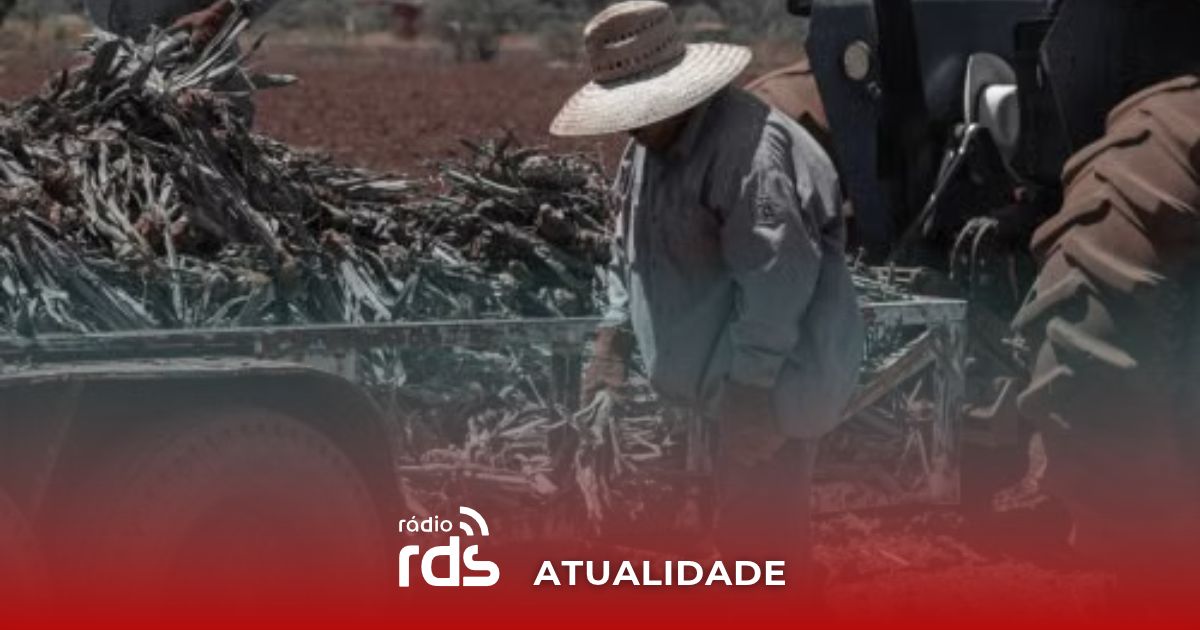 Dirigentes agrícolas manifestam-se junto à Assembleia da República em Lisboa