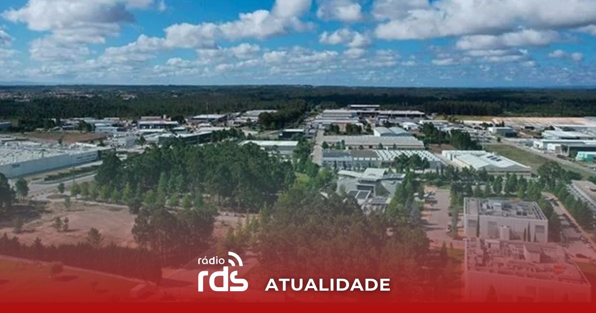 Motor económico: Cantanhede lidera dinâmica industrial na Região de Coimbra